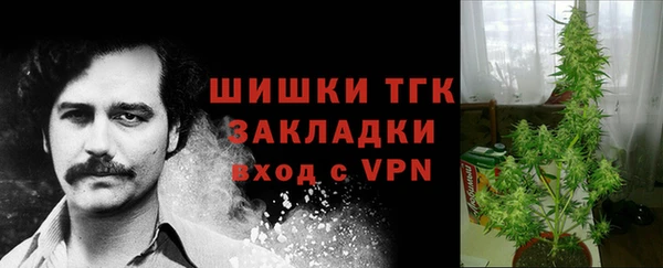 каннабис Новозыбков
