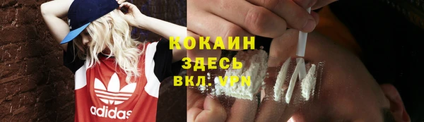 спиды Новокубанск