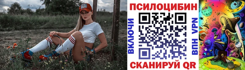 Галлюциногенные грибы прущие грибы  Болхов 
